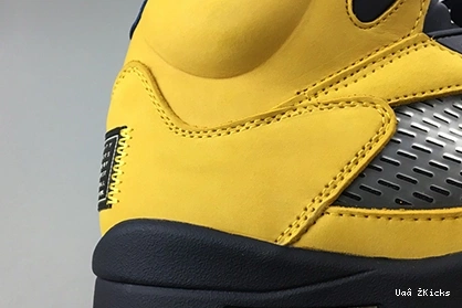 MICHIGAN RETRO 604 CQ9541-704 - AllSeason JORDAN 5 (2019) 0710